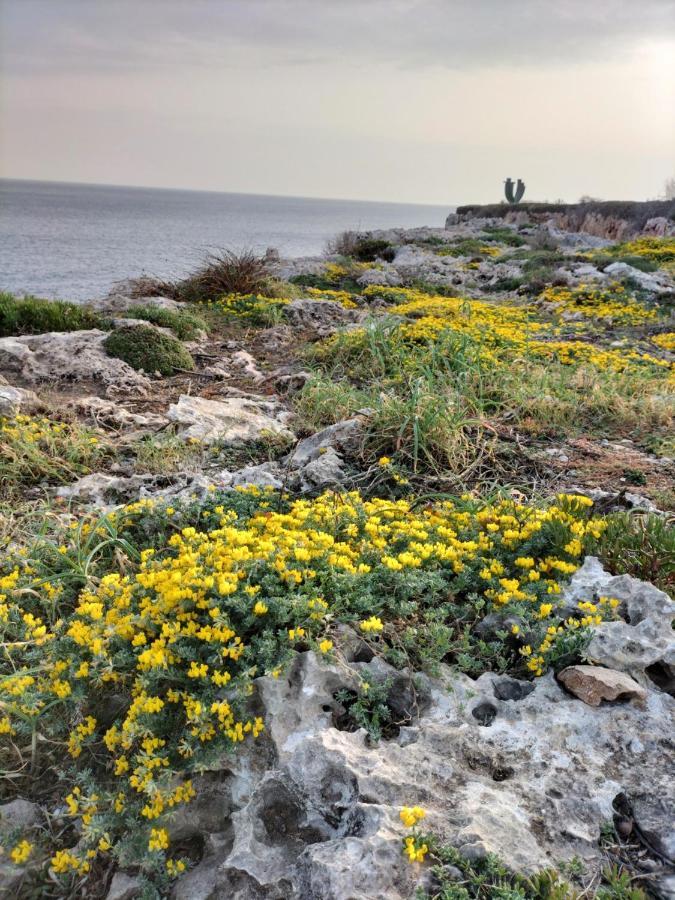 Grupoandria Villa Julia Cala en Forcat Dış mekan fotoğraf